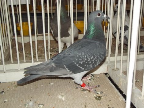 dscf3716.jpg