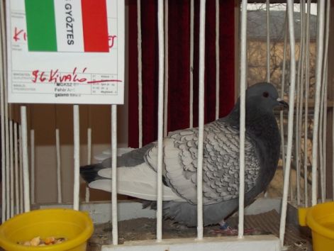 dscf3769.jpg