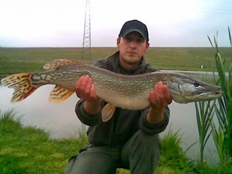 peca3.jpg